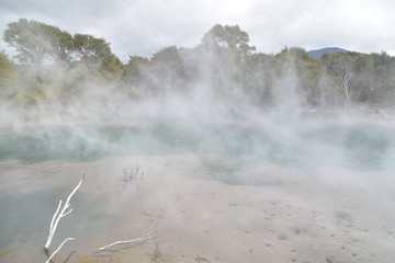 Hot springs in Rotorua, North Island, New Zealand