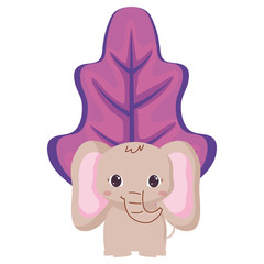 Cute animals design vector illustration