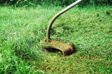 Hand held grass trimmer mowing green lawn. Grass shreds flying around the gardening tool.
