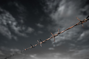Rusty Barbed wire fence along the boundary line.Black and White Conceptual Image .shallow focus effect.