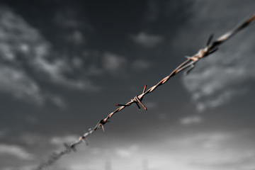 Rusty Barbed wire fence along the boundary line.Black and White Conceptual Image .shallow focus effect.