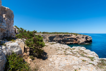 Fototapeta na wymiar Portocolom | Steilküste | Mallorca | Spanien
