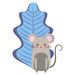 Cute animals and tropical leaves design vector illustration