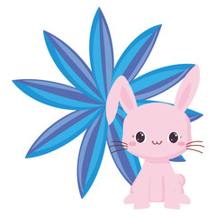 Cute animals design vector illustration