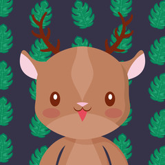 Cute animals design vector illustration