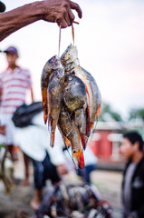 Mercado a orillas del rio Inidira en Inirida Guainia_Colombia
