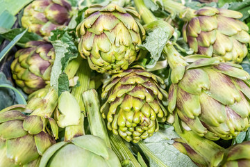 Obraz premium Pile of artichokes with shallow depth of field