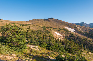 Rocky Mountain National Park low angle landscape of green mountain side with scattered trees and a bit of snow