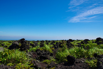 Fototapeta na wymiar 奇岩が連なる伊豆大島のジオパーク