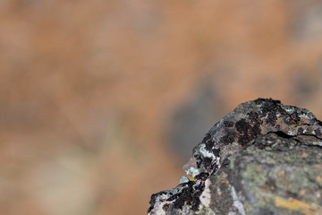 rock protrusion and the ground below