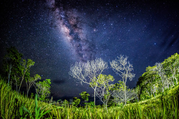 cielo nocturlo en Puerto Inirida Guainia _ Colombia