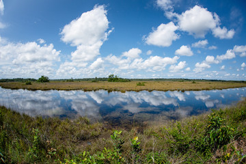 Caños y humedales en las tierras de Puerto Inirida _ Guainia _ Colombia