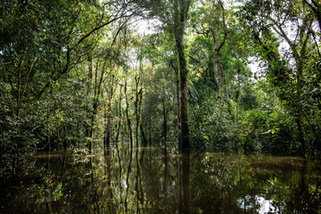 Lagunas y bosques en las selvas de Guainia en Colombia