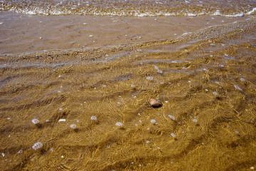 Seashells on sand. Sea summer vacation background