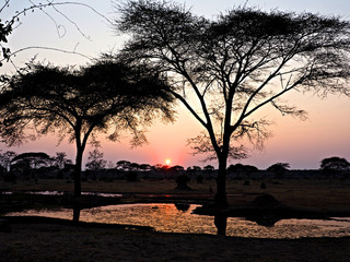 African Sunset 