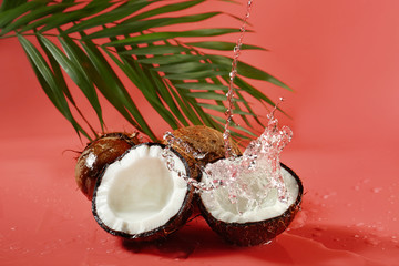 Ripe coconuts and splash of water on color background