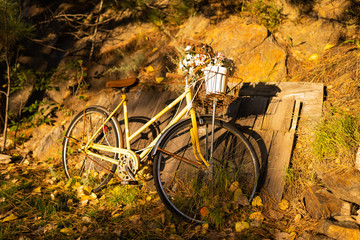 Fototapeta premium Bicycle