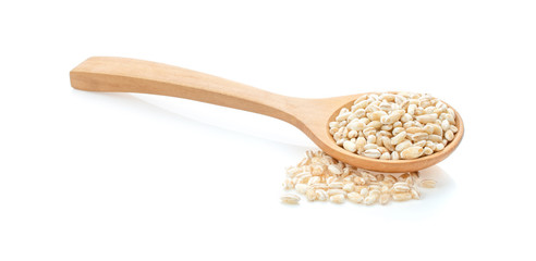 grain barley on a white background.