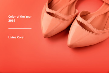 Stylish female shoes on coral background