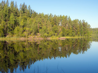 Fototapeta na wymiar landscape on a forest lake in morning