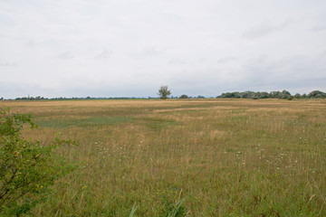 Landscape shot in the national park Neusiedler See in Illmitz Burgenland