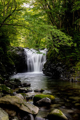 Naklejka premium 止滝