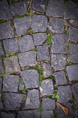 old stoneblock pavement cobbled with square granite blocks with green grass sprouted texture with vignette. background, nature.