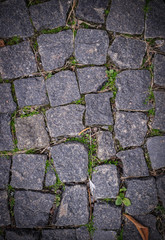 old stoneblock pavement cobbled with square granite blocks with green grass sprouted texture with vignette. background, nature.
