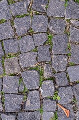 old stoneblock pavement cobbled with square granite blocks with green grass sprouted texture. background, nature.