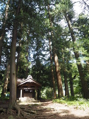 Kawaguchi Asama Jinja in Japan