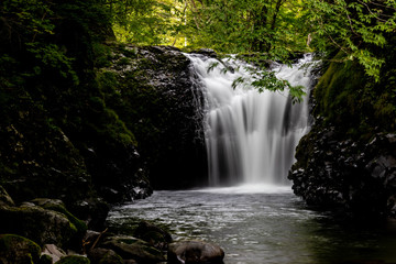 Fototapeta premium 止滝