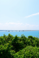 緑の向こうに見える海