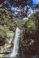 Obraz premium hidden waterfalls and wild Australian bush during a hike in Tasmania