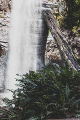 hidden waterfalls and wild Australian bush during a hike in Tasmania
