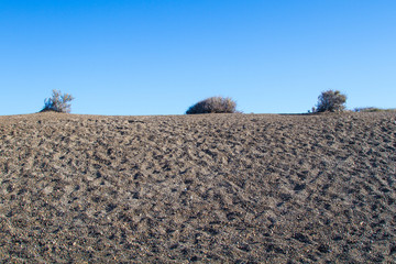 Arid beach sand and blue sky