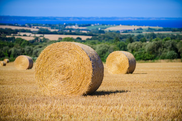 Landscape with twisted haystack. Finister. Brittany. France