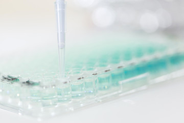 Scientist Using Multichannel pipette and multiwell eppendorf plate, Science, chemistry, technology, biology, Concept science and technology