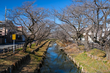 川越 新河岸川 冬