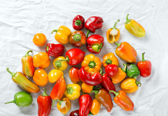 Assortment of fresh homemade pepper on white background