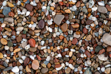 Colorful sea stones