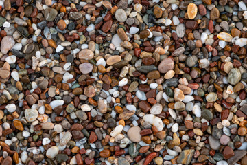 Colorful sea stones