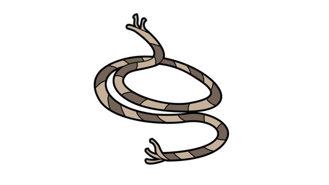 ropes animation white screen. 2D flat simple motion