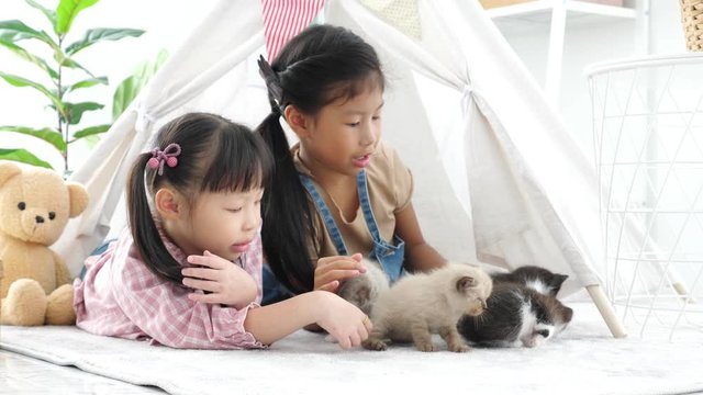 Two little girl lying on the floor and playing with little kitten.