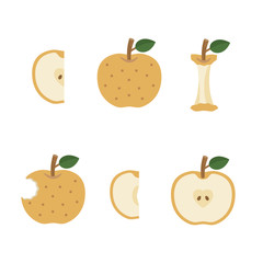 果物：梨（バリエーション）