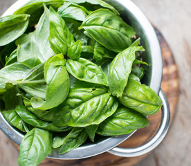 Fresh basil leaves