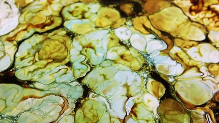 Nice Ink Abstract Psychedelic Paint Liquid Motion Background Texture Video.