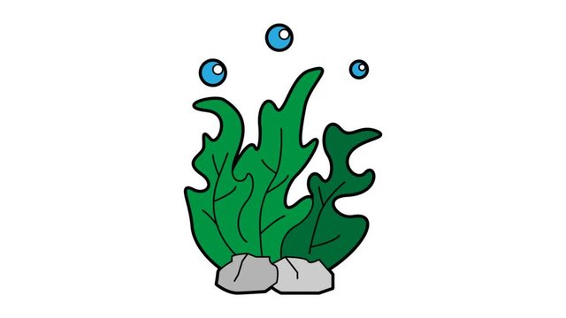seaweed animation white screen. 2D flat simple motion
