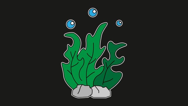 seaweed animation black screen. 2D flat simple motion