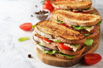 Fresh homemade sandwich
