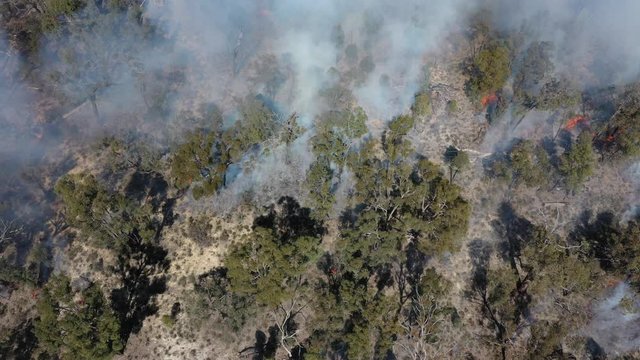 Bushfire in Australia. Drought and Climate Change increase likelihood of these forest fires.